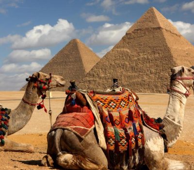 600e9f4487e44.r_d.1067-716-0