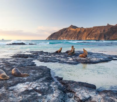 a sandy beach on the island of San Cristobal in the Galapgos National Park, in Ecuador, South America
