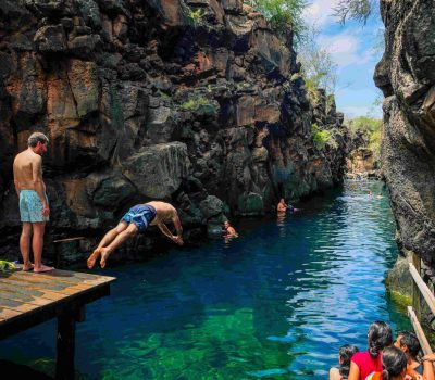 que-ver-isla-santa-cruz